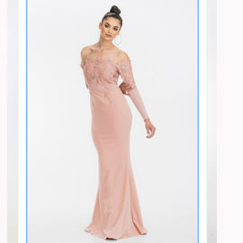 Celeste Embroidered Bodice Evening Gown in Blush